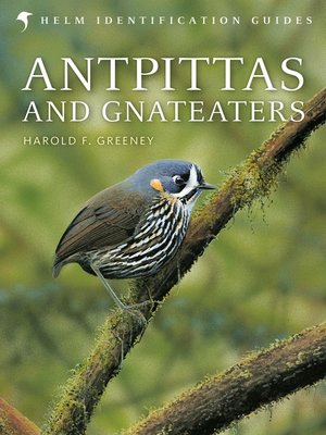 cover image of Antpittas and Gnateaters